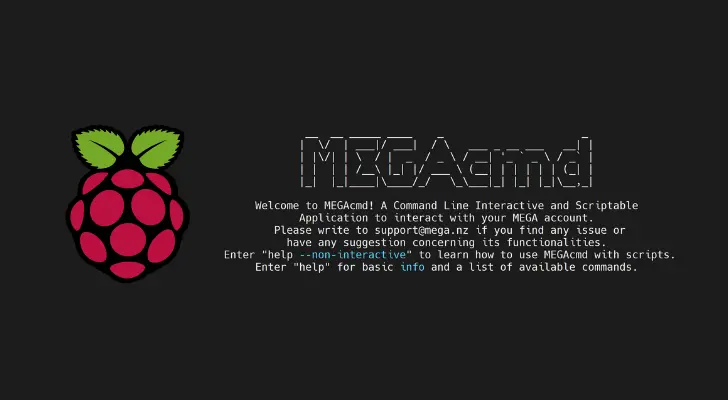 Build and Install Mega CMD on Raspberry Pi Bookworm ARM64